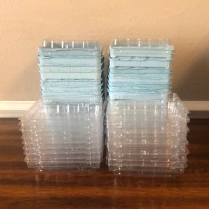 Pack of 20 pulp fiber baby blue berry baskets with lids.
